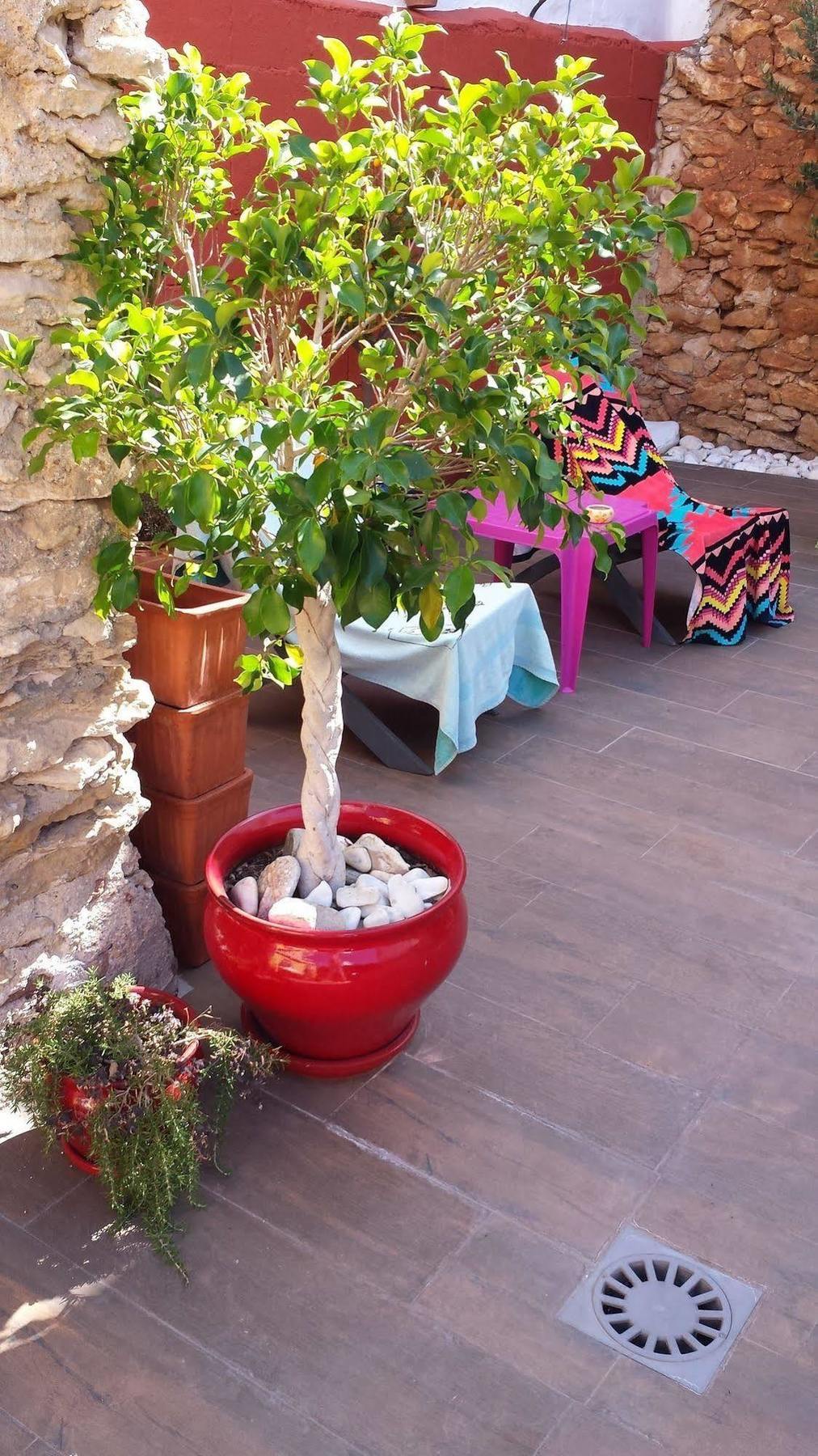 Boutique Hostal Lorca Nerja Extérieur photo
